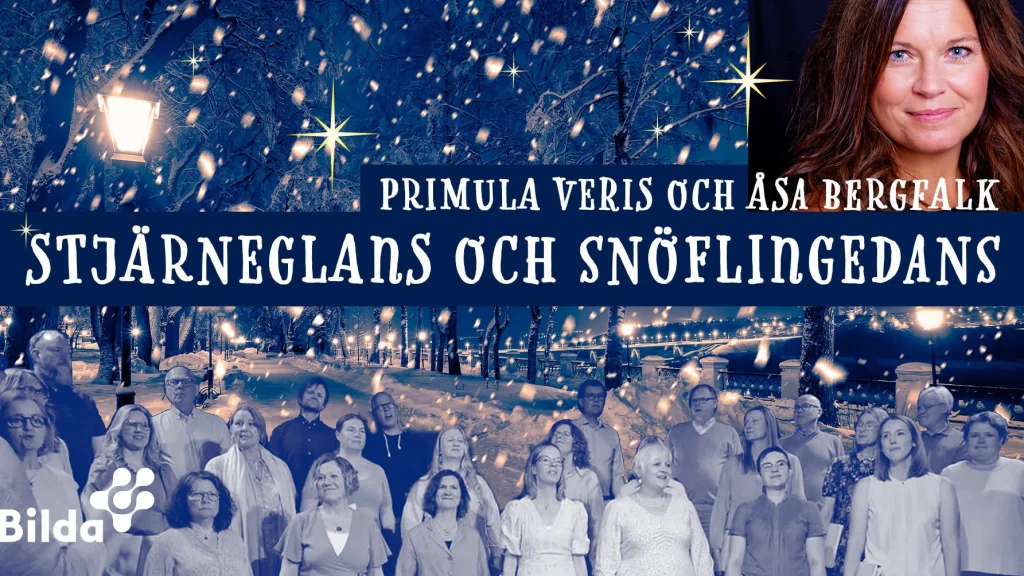 Stjärneglans och snöflingedans